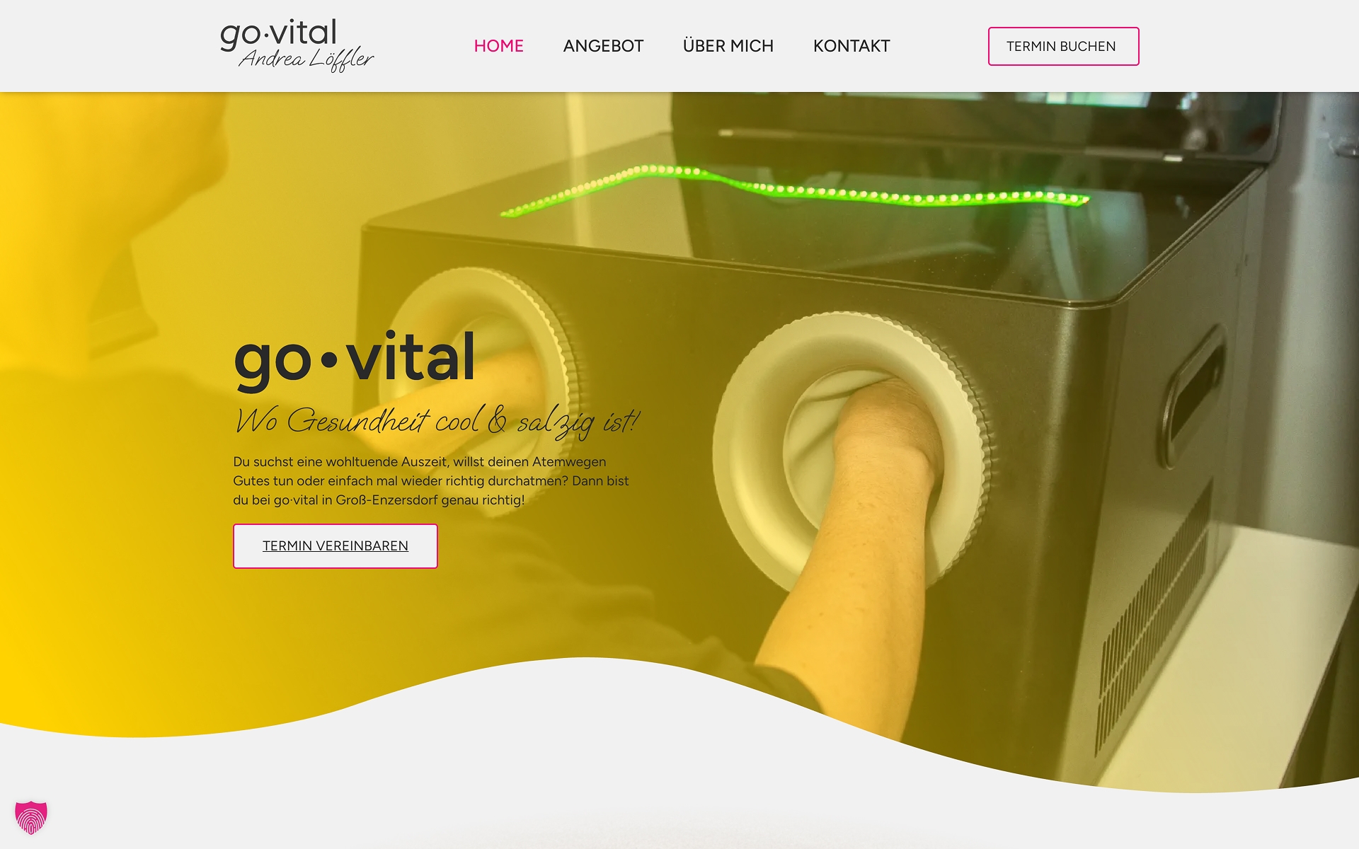 Screenshot of the go-vital.fit website